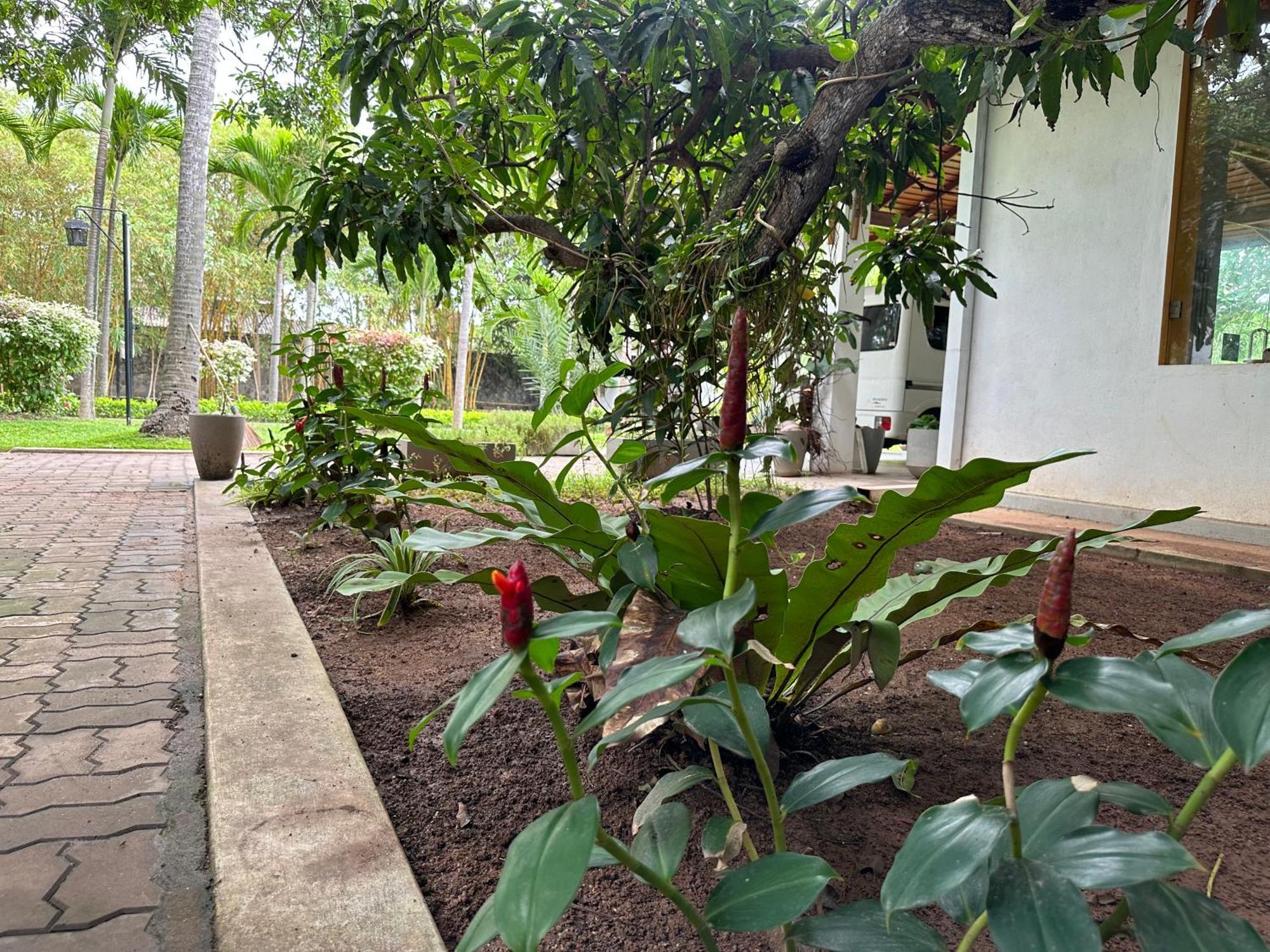 Amaluna Resorts Negombo Buitenkant foto